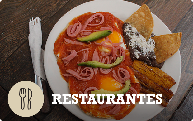festival-del-queso-2022-banner-restaurantes